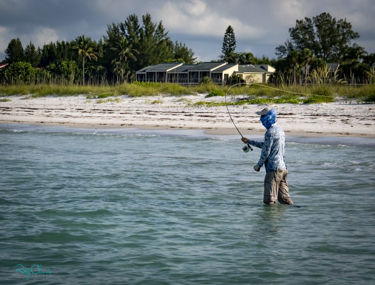 Read more about the article Fly Casting Fundamentals