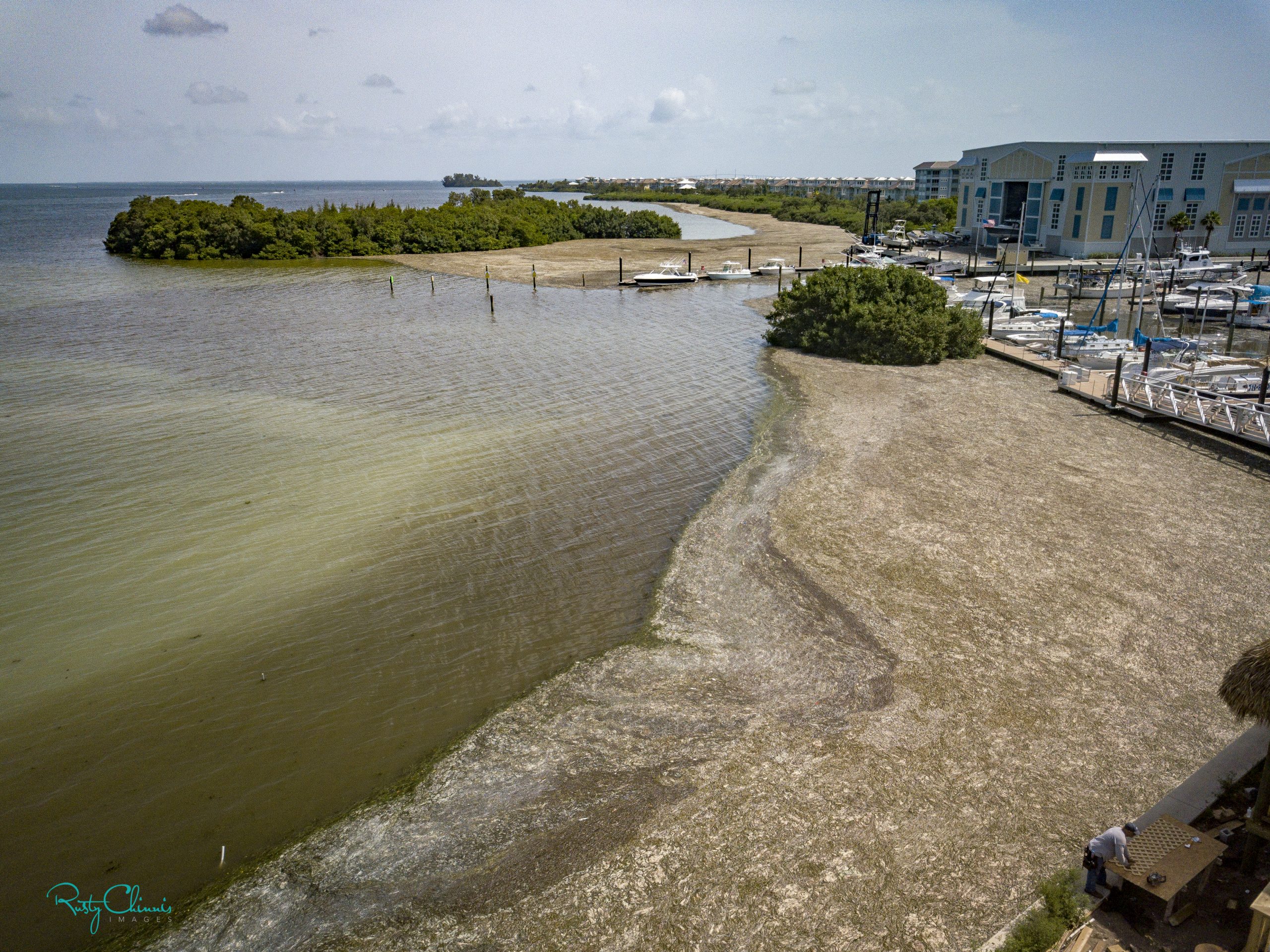 Read more about the article Troubled Waters — Who Wants to Swim in Sewage?