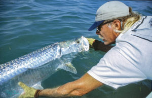 Captain John Kipp holds a tarpon in the water next to the boat to revive it.