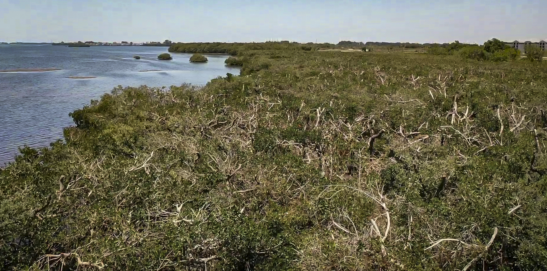 Read more about the article Your Environment is Worth More Protection Than It’s Getting