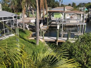 Photo of home with mangroves between it and canal.