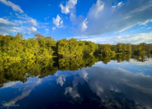 Still water, river bank and sky.