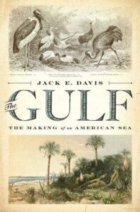 Cover of book by Jack Davis. Gulf: The Making of an American Sea