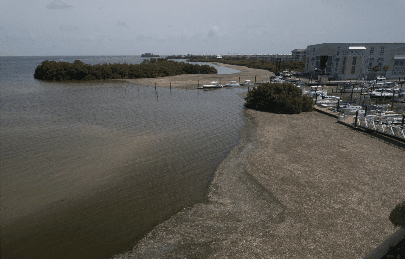 You are currently viewing Vote water and the future of our communities