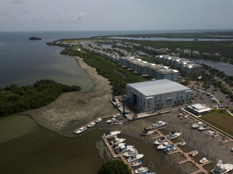 Read more about the article Vote water to ensure future of economy and fishing