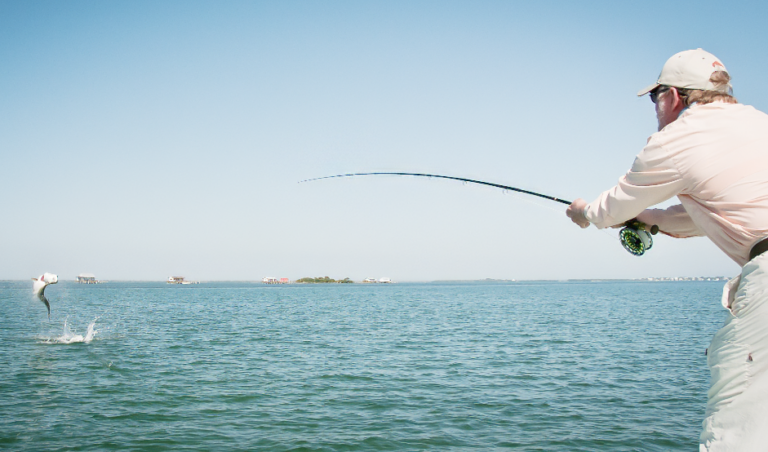 Read more about the article The Apex of Angling: Part 1 