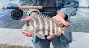 A man holds a fish he caught.