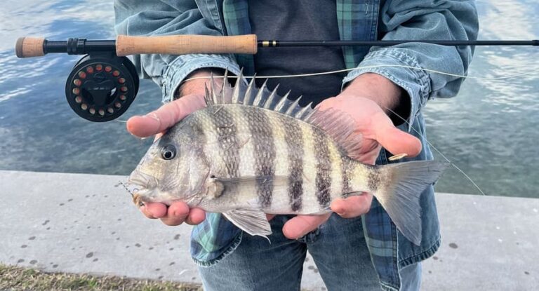 Read more about the article A New Winter Strategy 